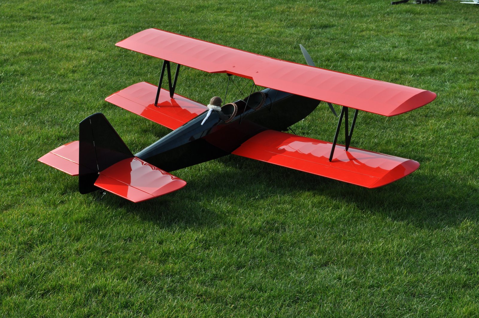 DSC_3909.JPG