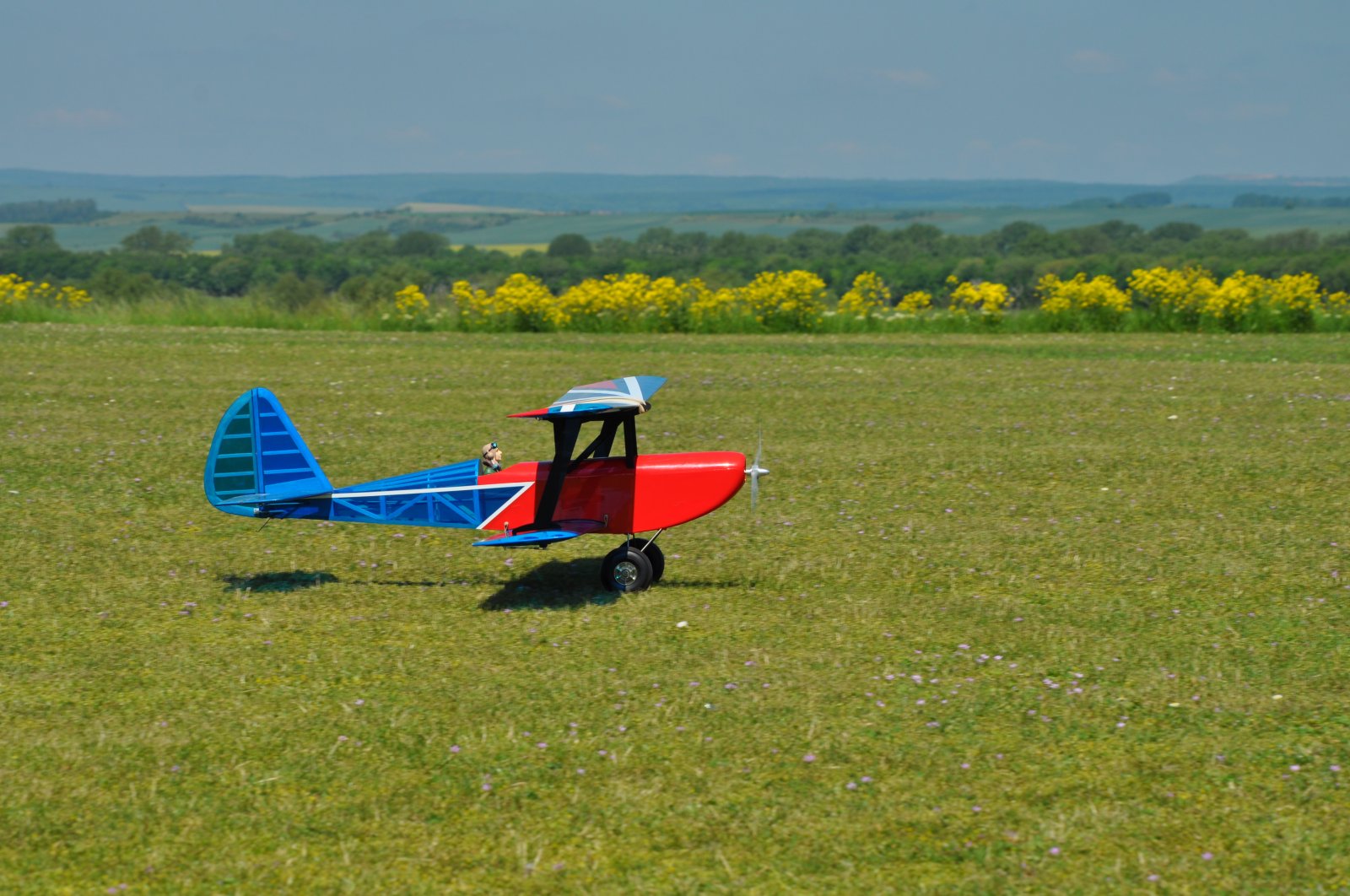 DSC_3935.JPG