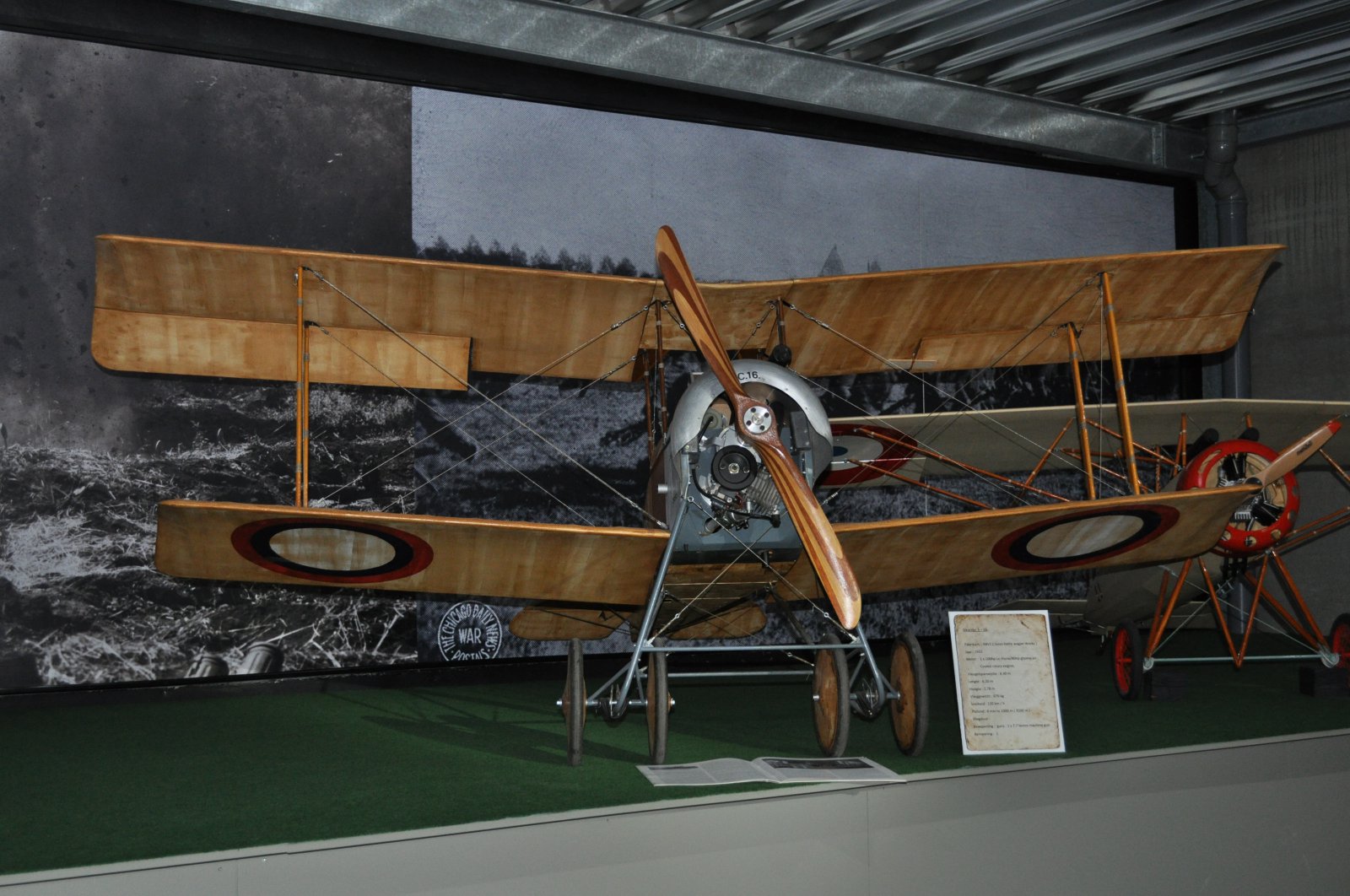 DSC_3953.JPG