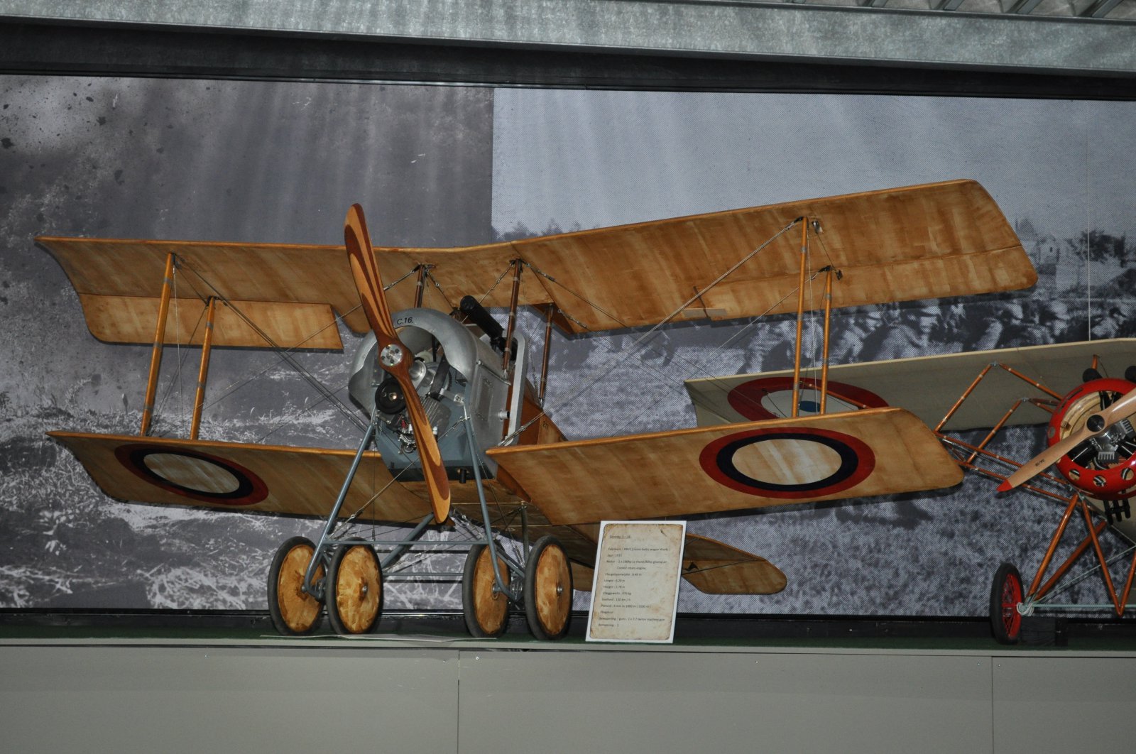 DSC_3964.JPG