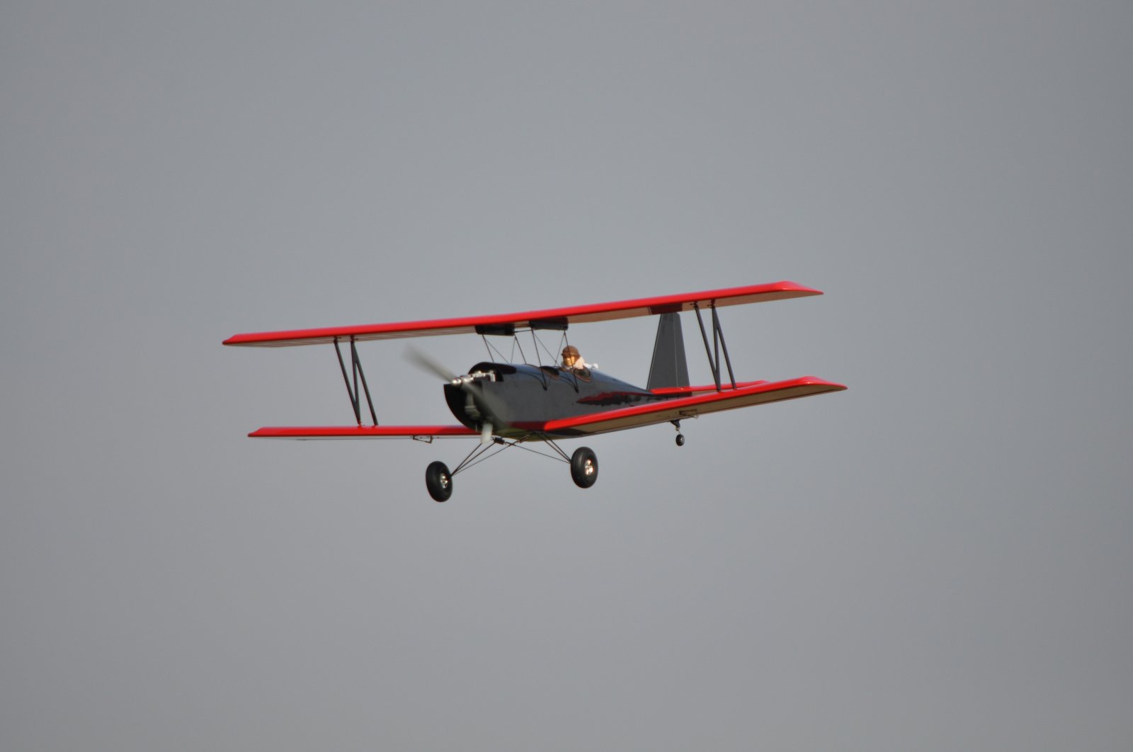 DSC_3979.JPG