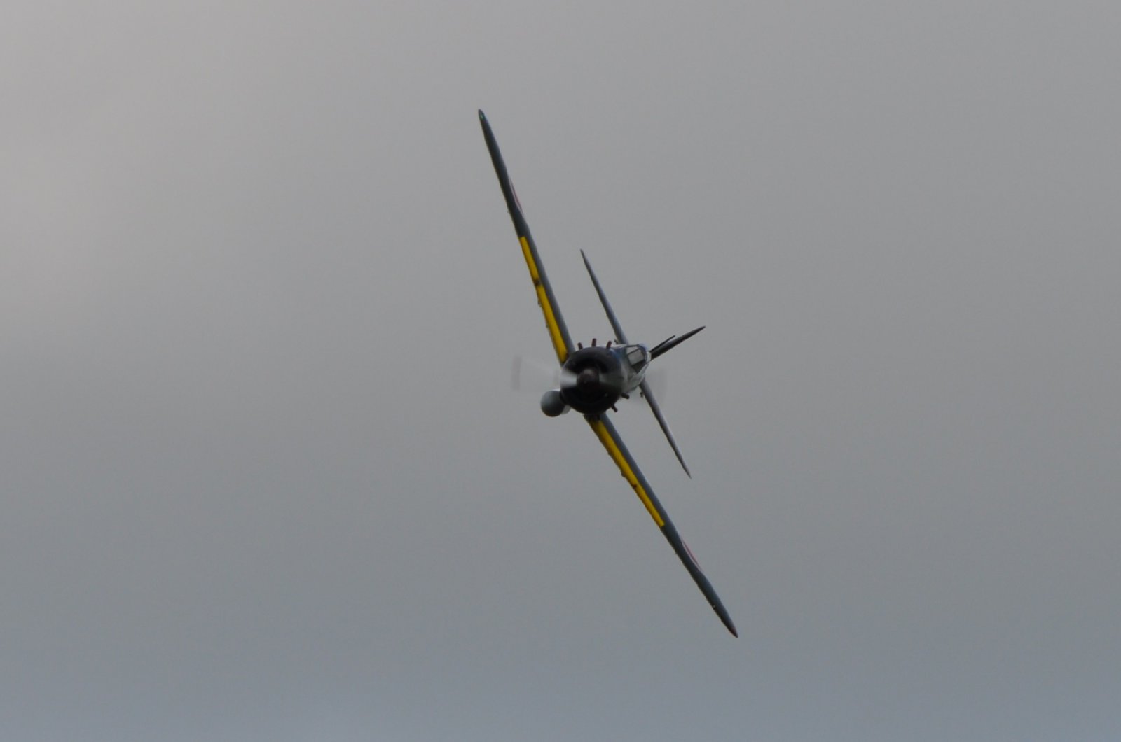 DSC_4015.JPG