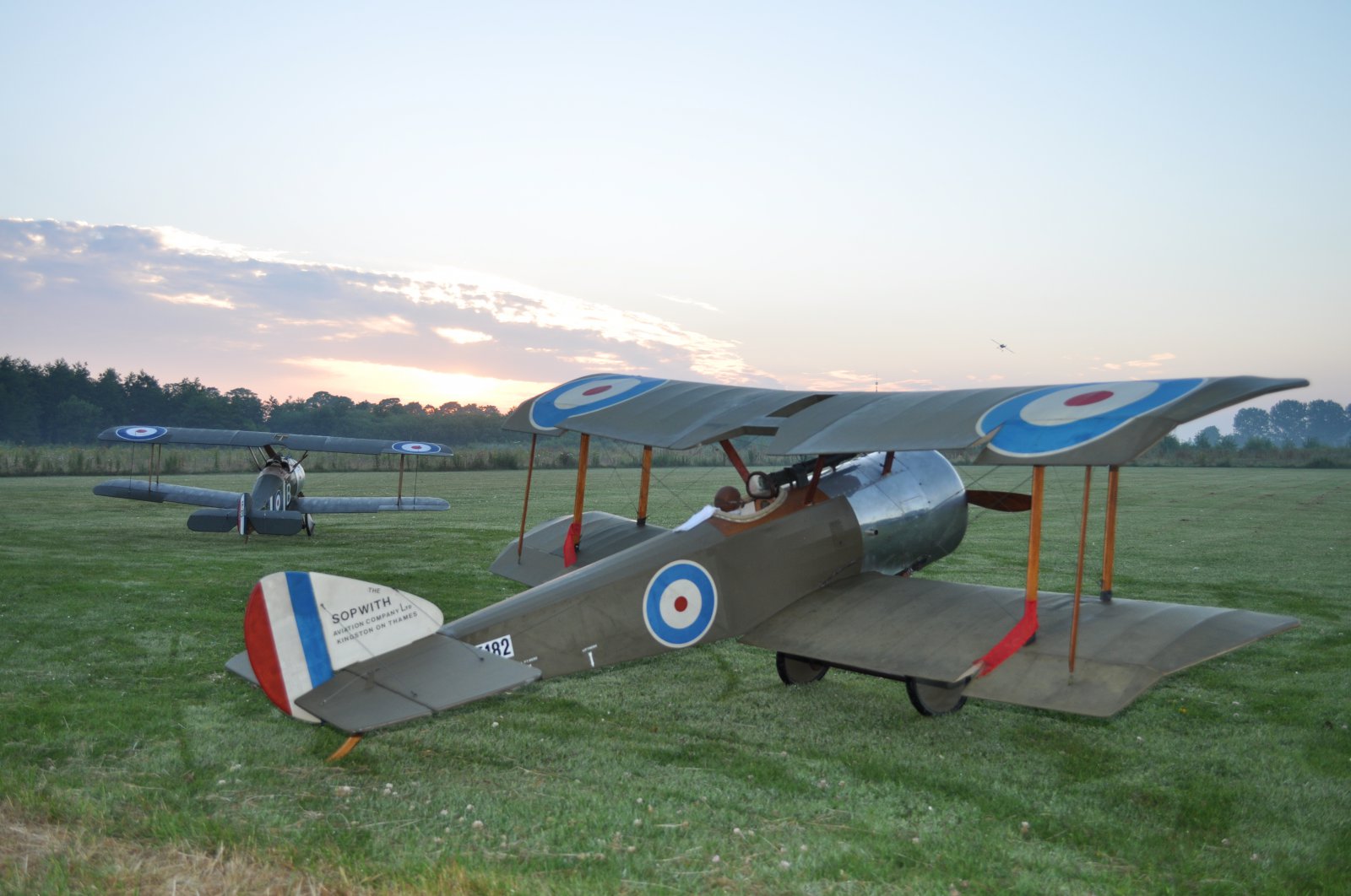DSC_4302.JPG