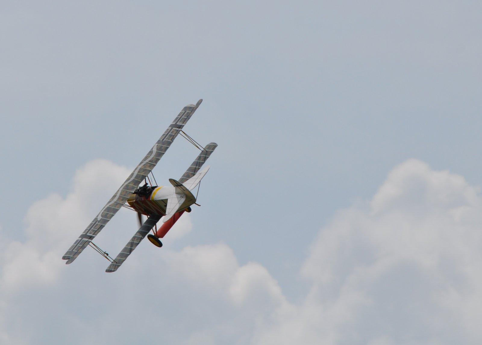 DSC_5099.JPG