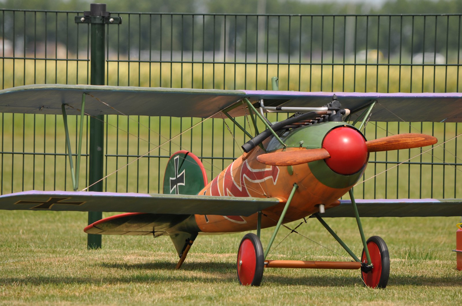 DSC_5126.JPG