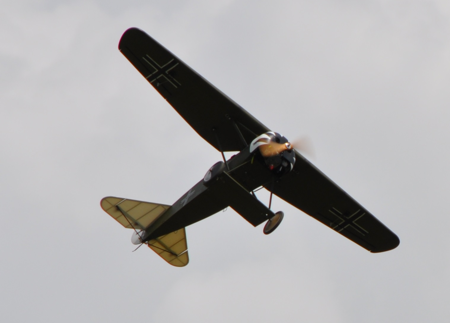 DSC_5154.JPG