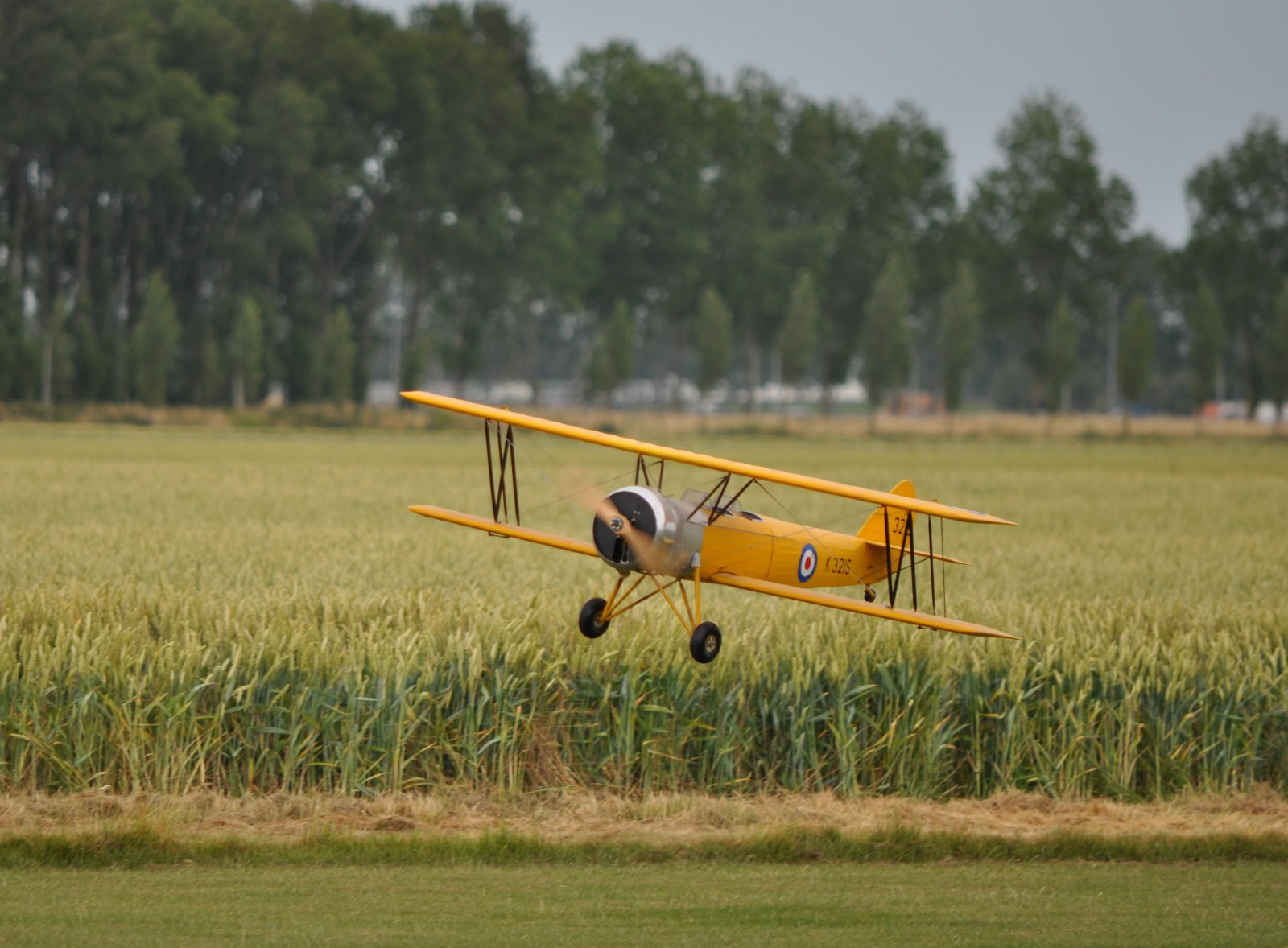 DSC_5211.JPG