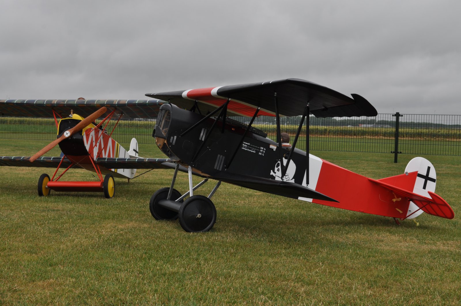 DSC_5217.JPG