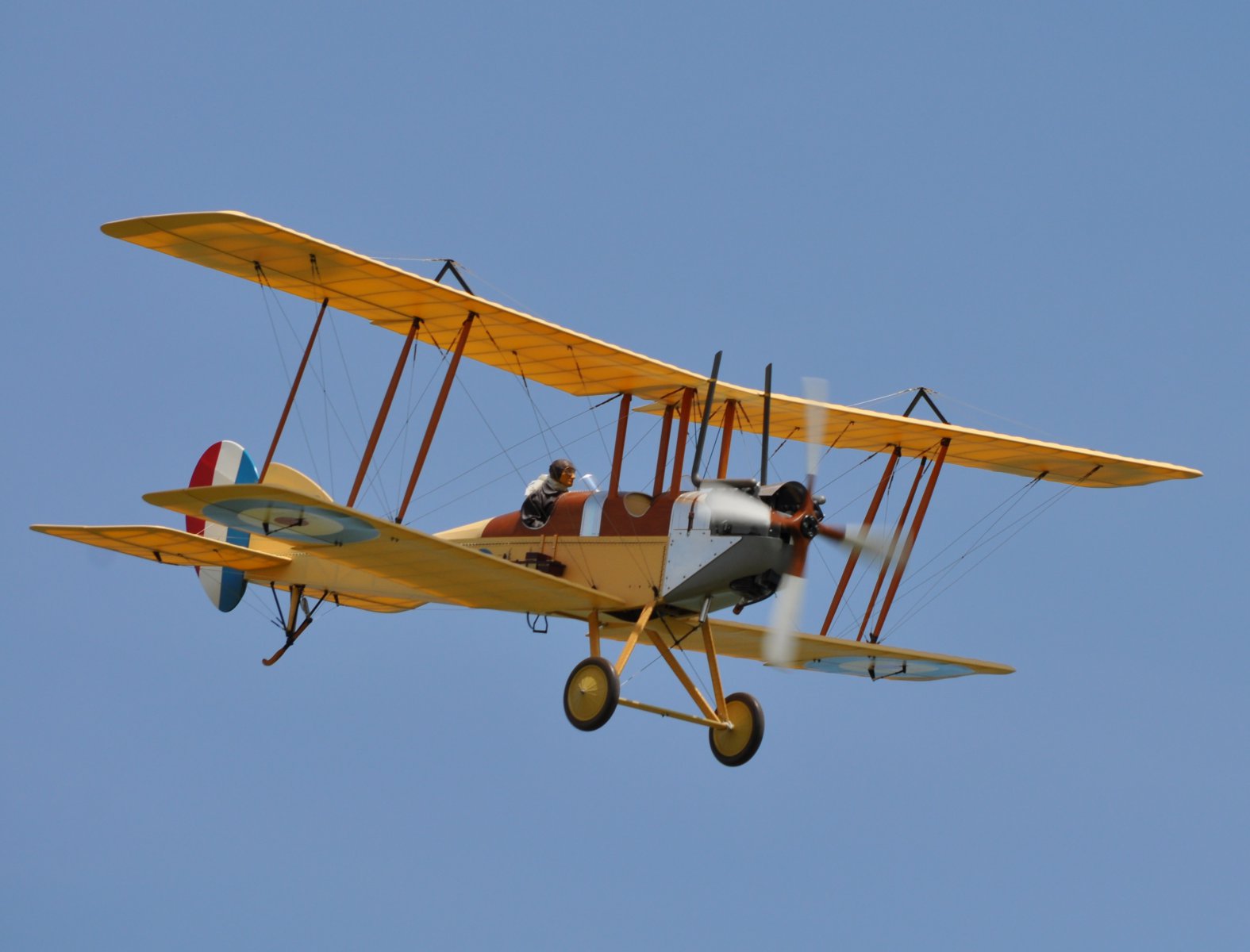 DSC_5401.JPG