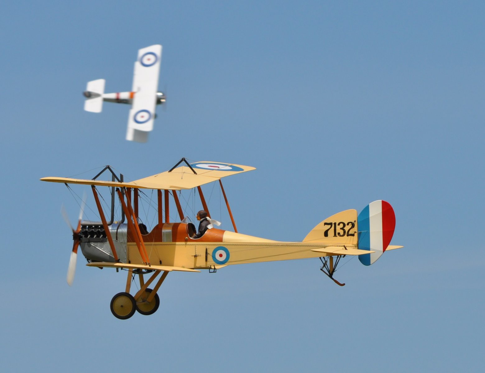 DSC_5408.JPG