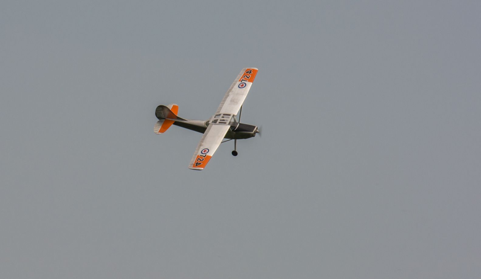 DSC_7417.jpg