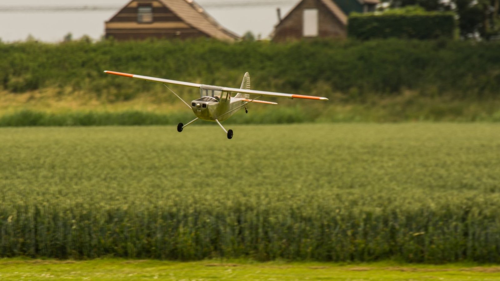 DSC_7437.jpg
