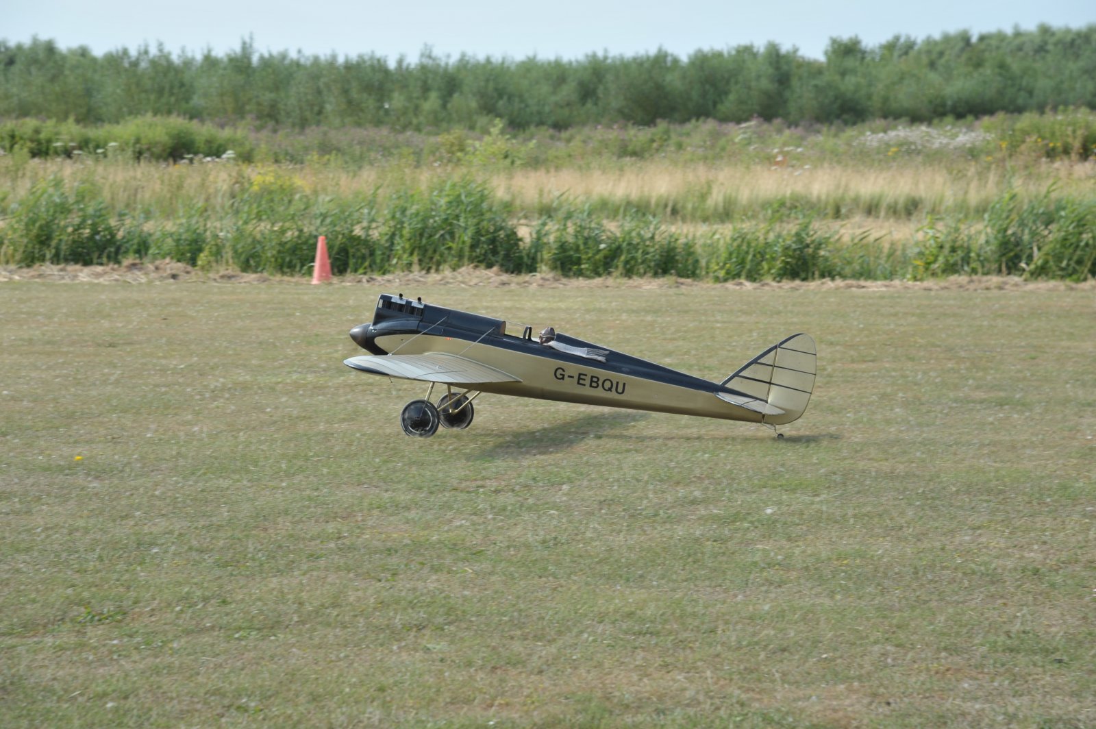 DSC_9876.JPG