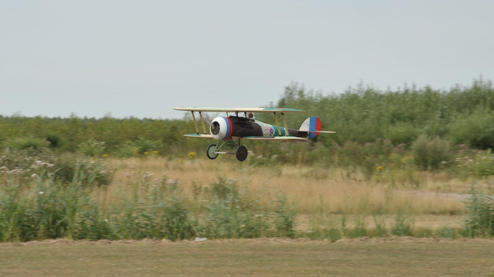 DSC_9918.JPG