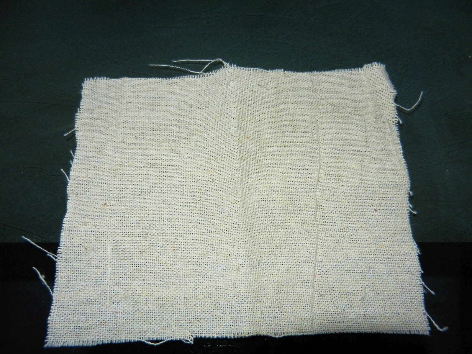 DSCN3128.JPG