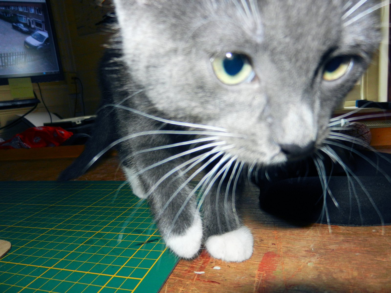 DSCN4365.JPG