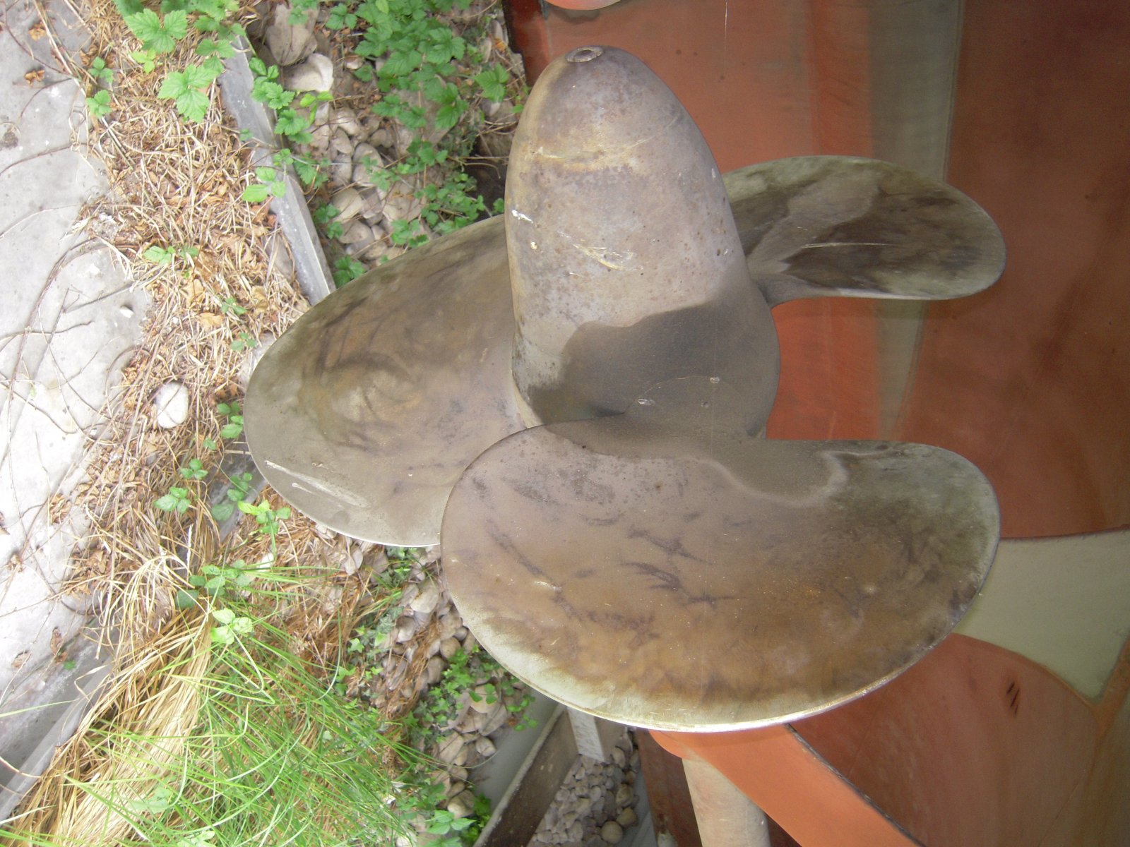 DSCN4792.JPG