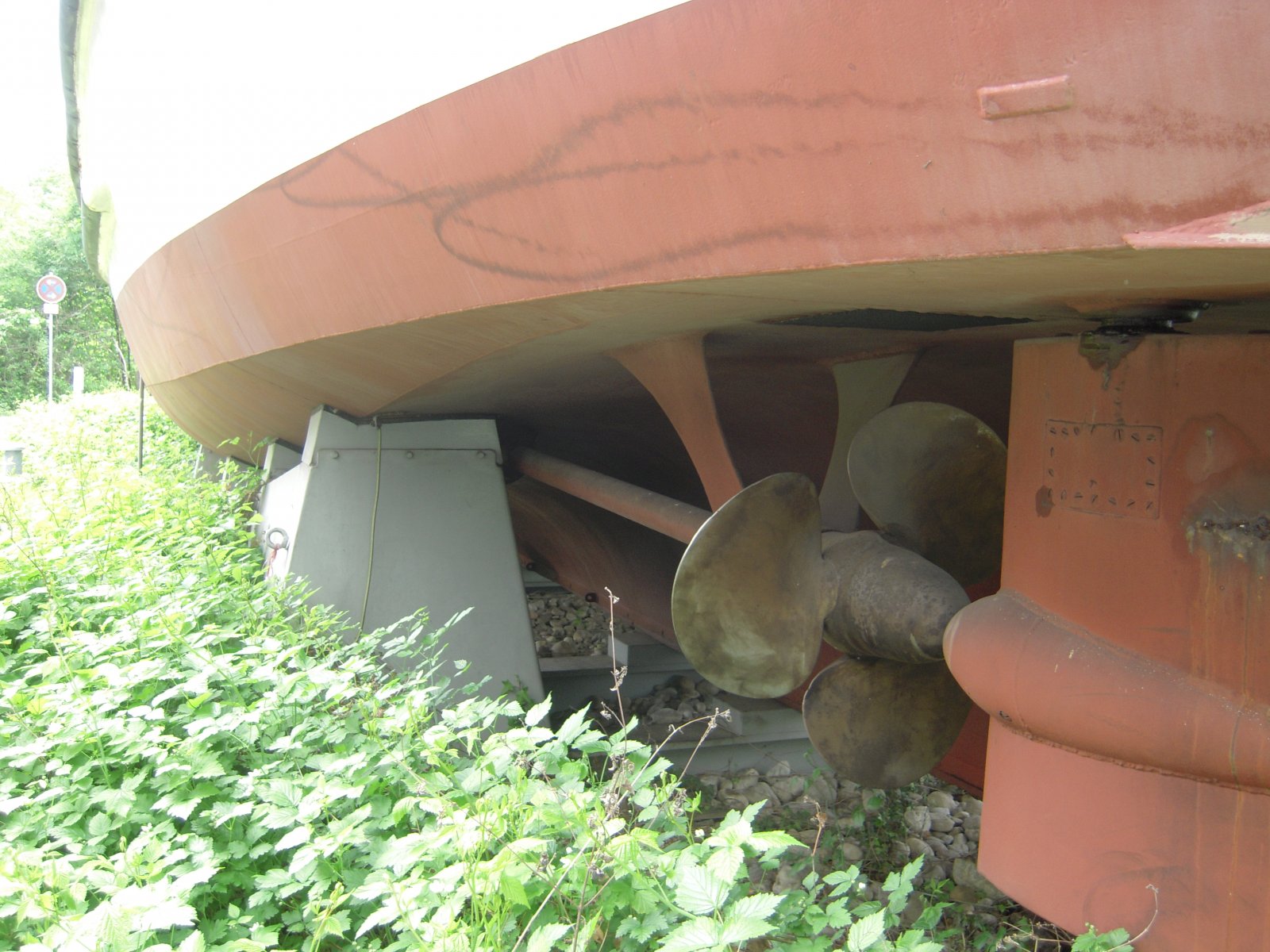 DSCN4808.JPG