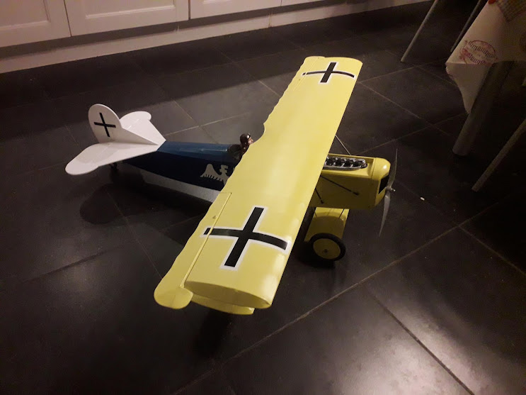 DVII-1.jpg