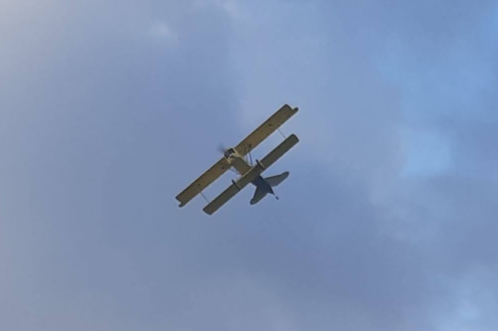 DVII-3.jpg