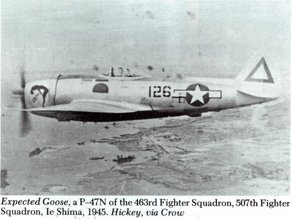 expected goose P47-N in flight.jpg