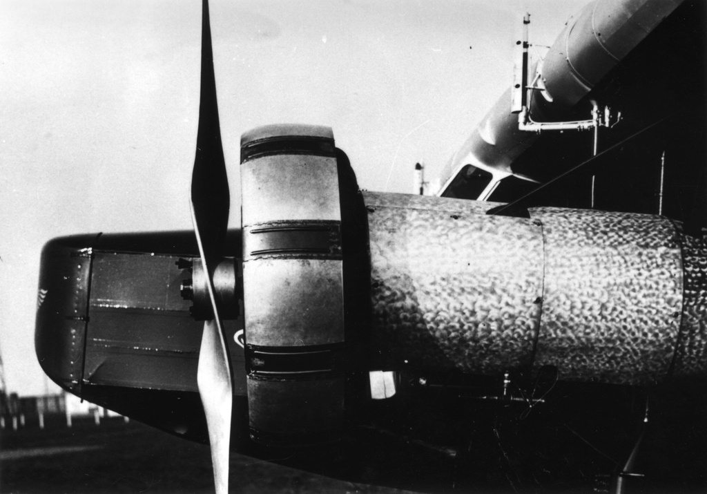 f8 25.jpg