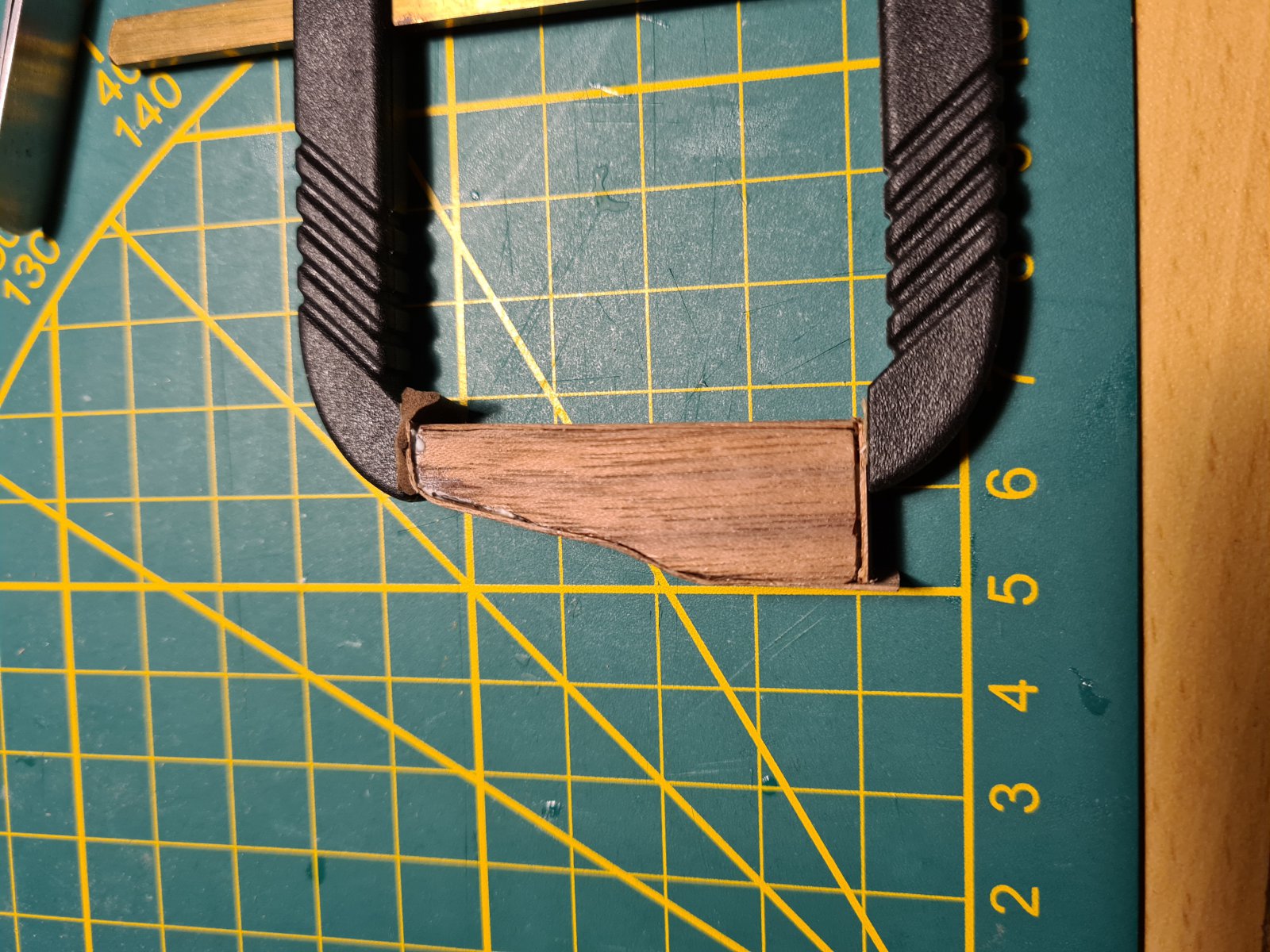 Fig207.jpg