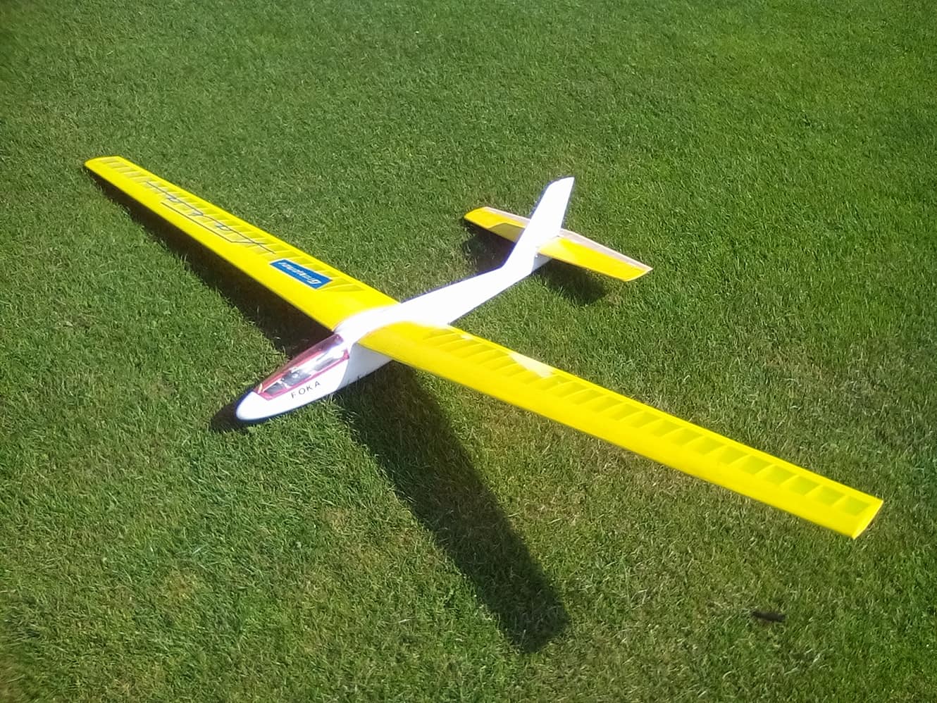 foka 260 4.jpg