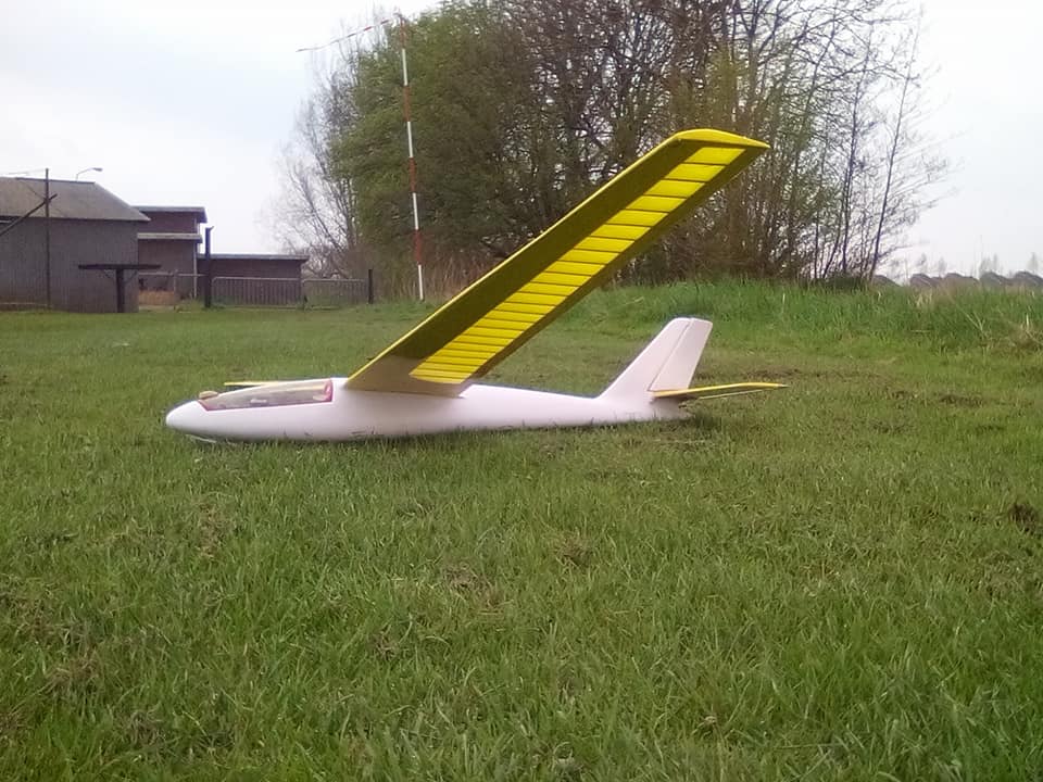 foka 4.jpg