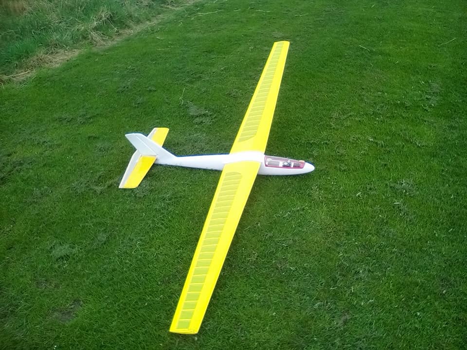 foka 6.jpg