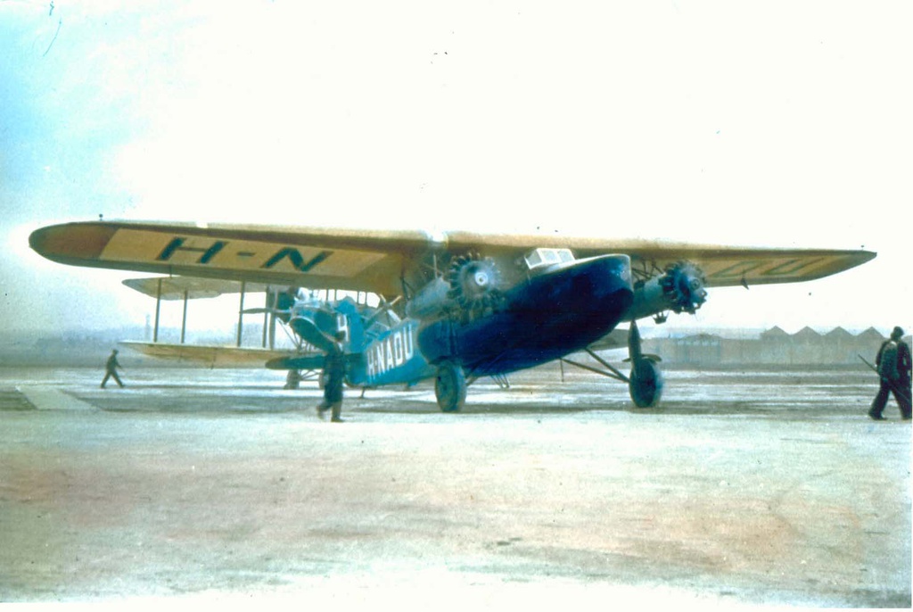 FVIII 6.jpg