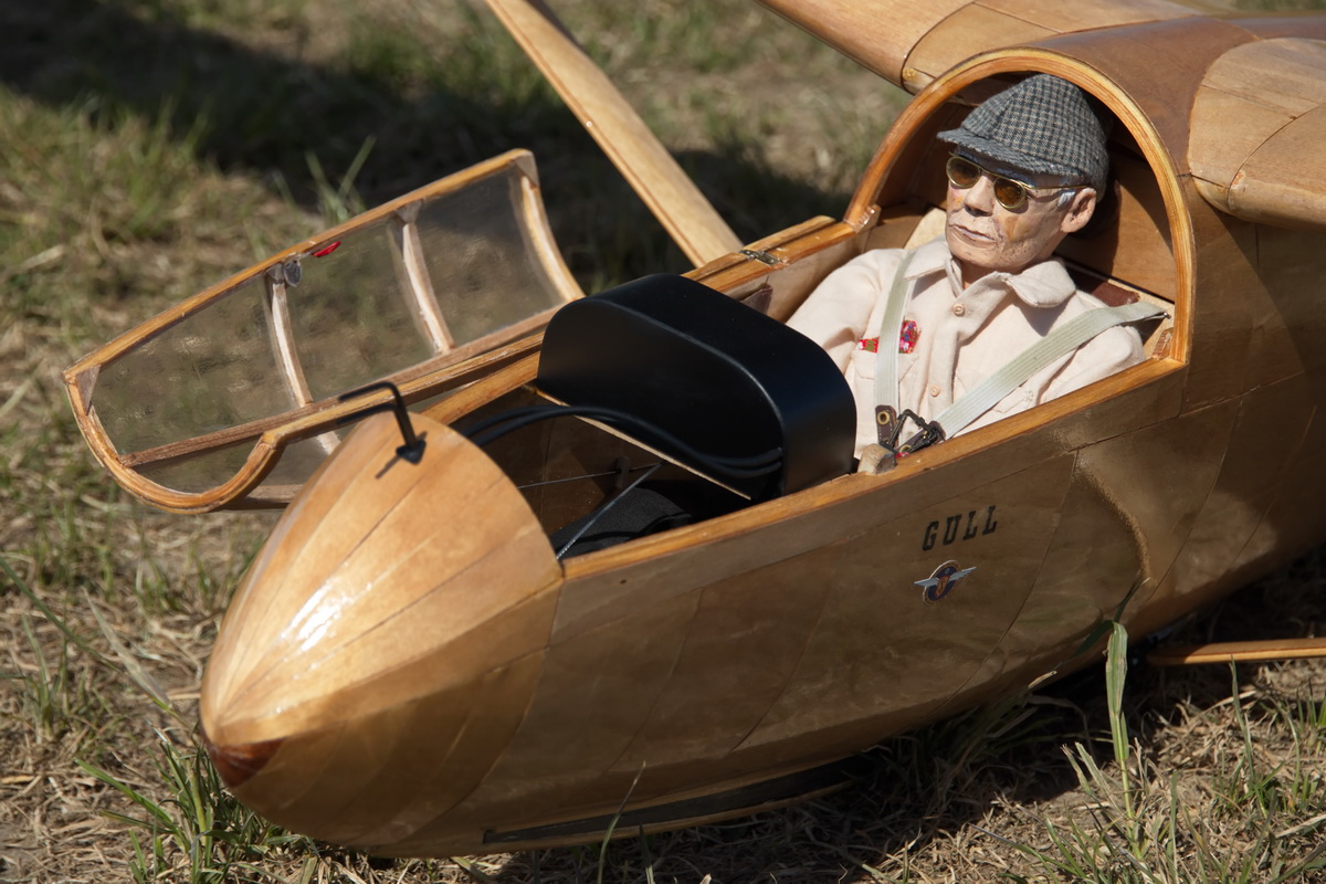 Gull-03.jpg