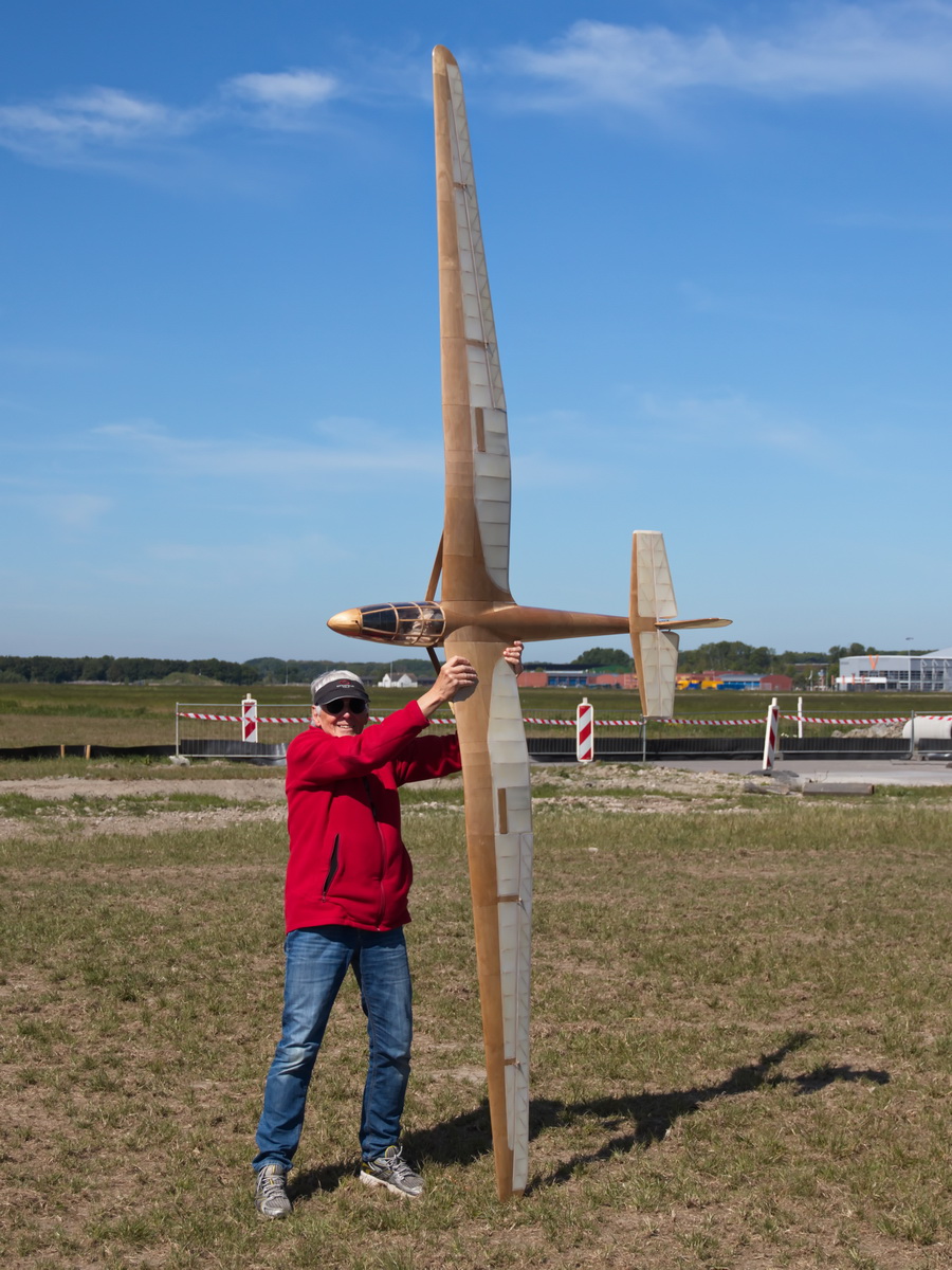 Gull-05.jpg