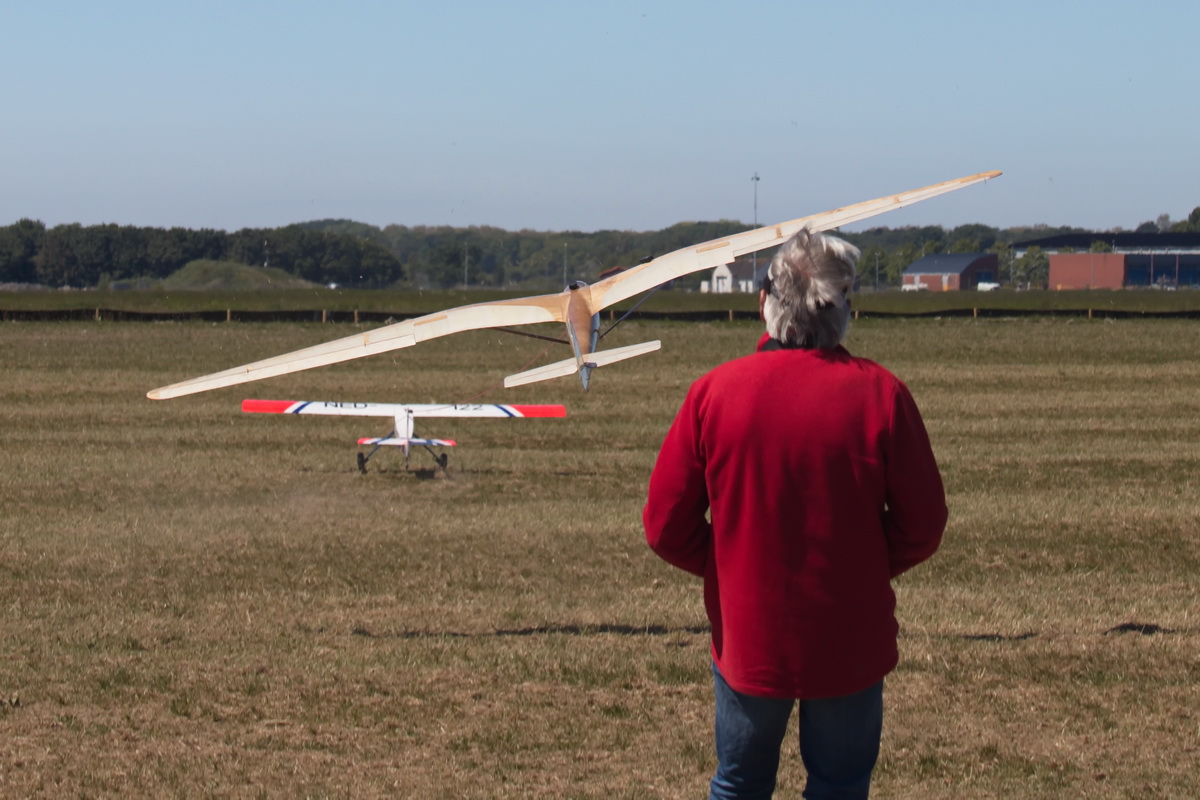 Gull-09.jpg