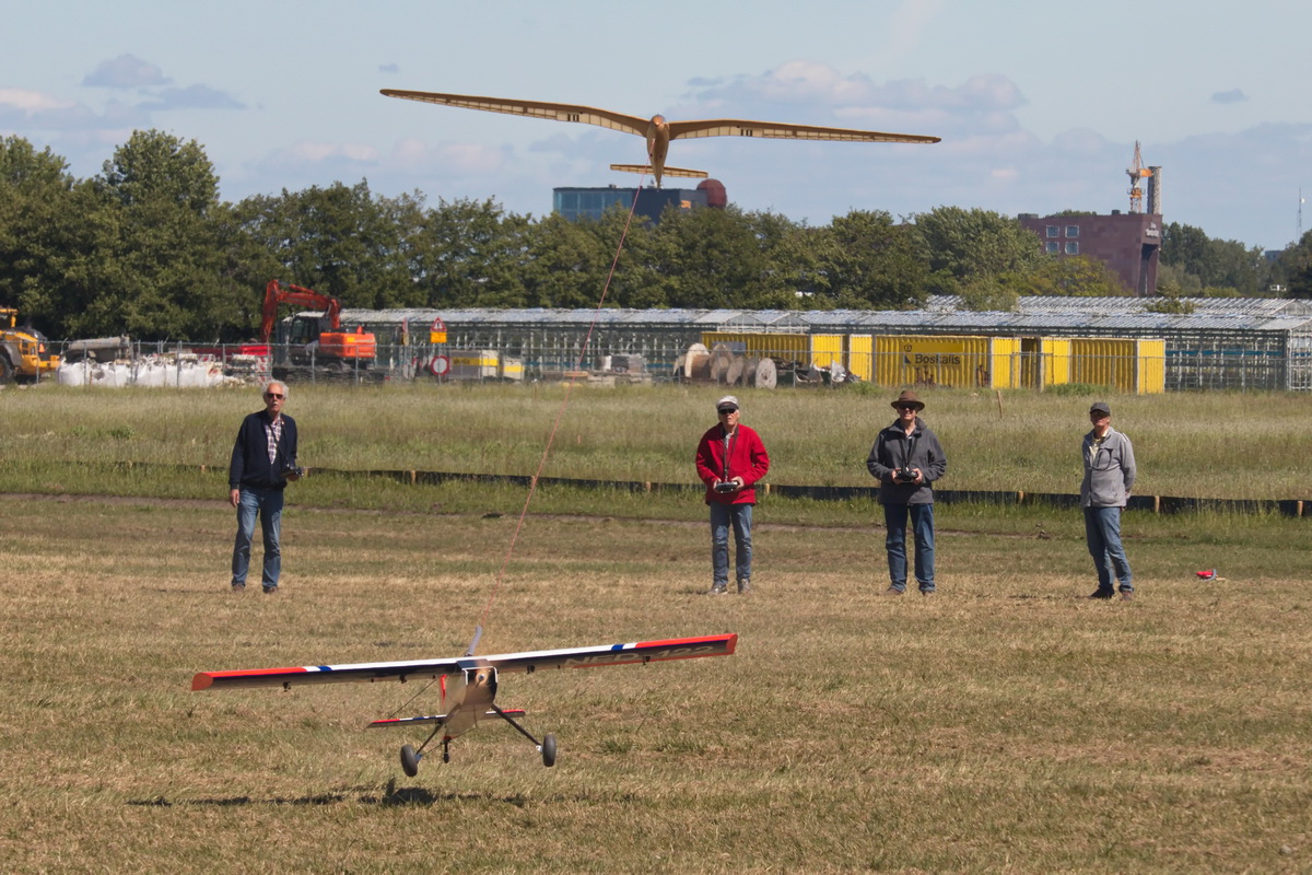 Gull-10.jpg