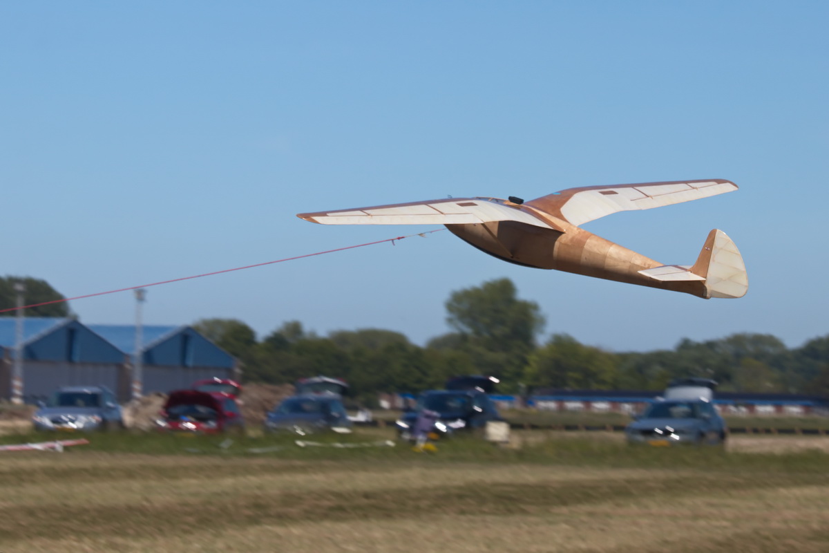 Gull-11.jpg