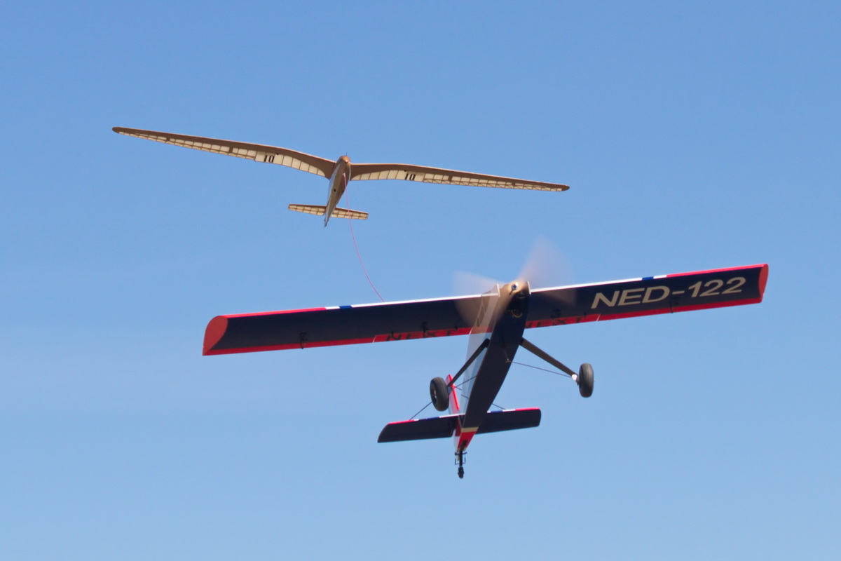 Gull-12.jpg