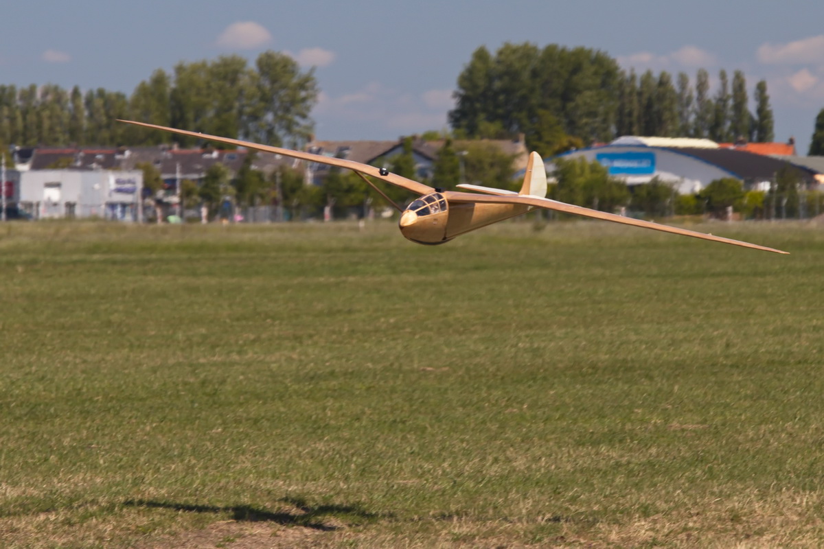 Gull-17.jpg