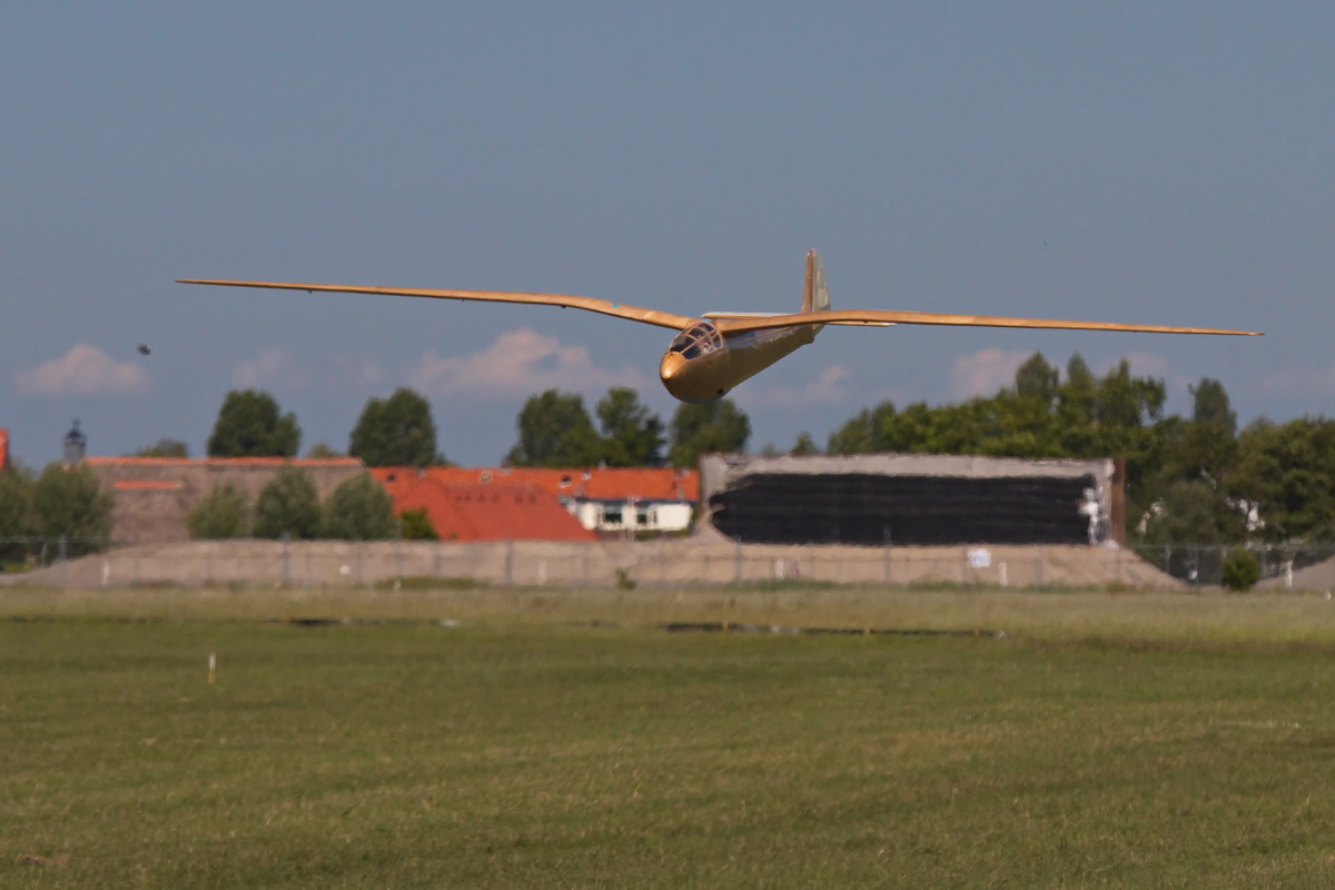 Gull-18.jpg