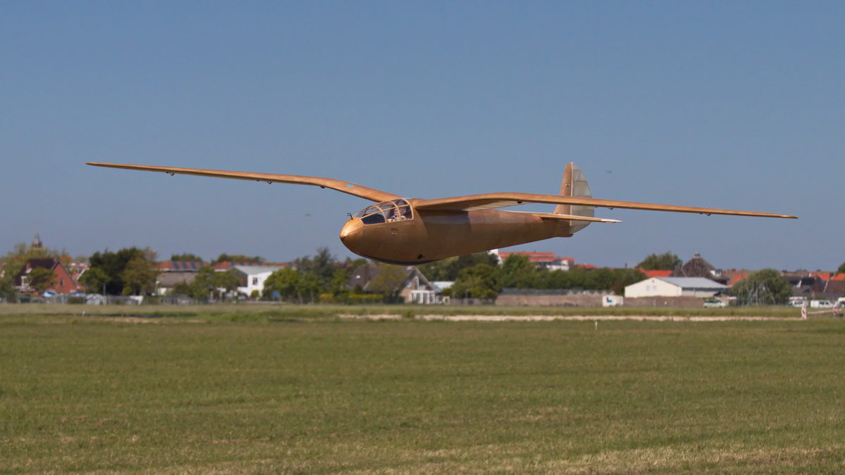 Gull-19.jpg