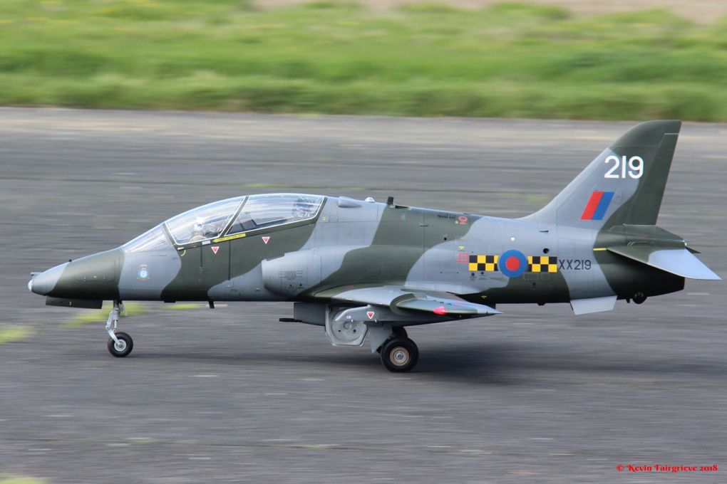 hawk1.jpg
