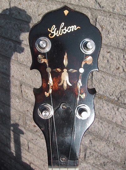 Headstock kl.jpg