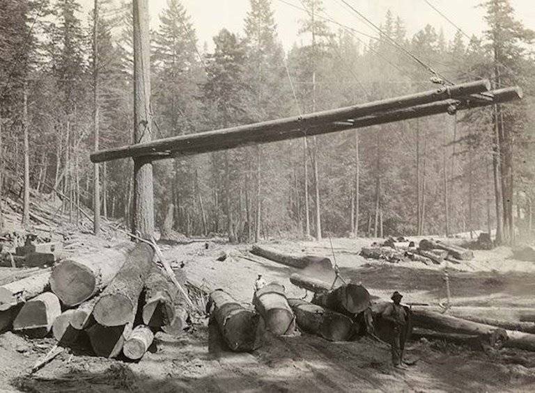 Heel-boom-log-yard.jpeg