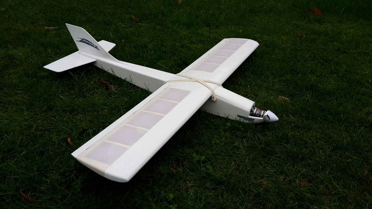 Hornet fig 2.jpg