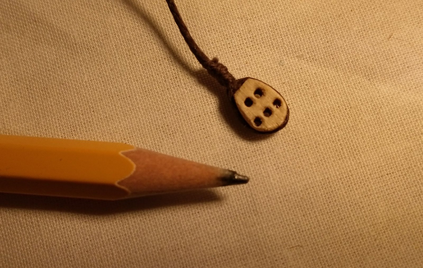 IMAG0772.jpg