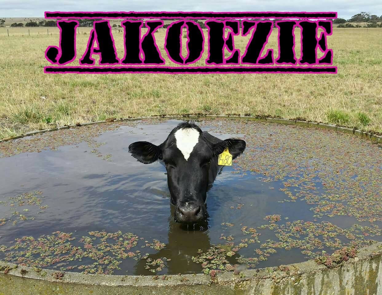 image.jpeg