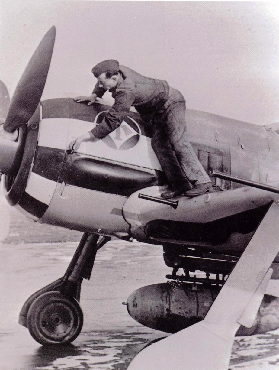 image.jpg