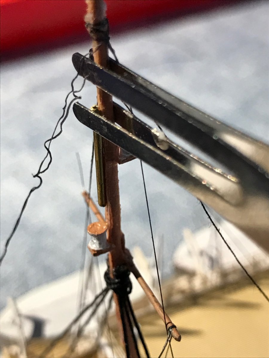 Image1637333072.877756.jpg