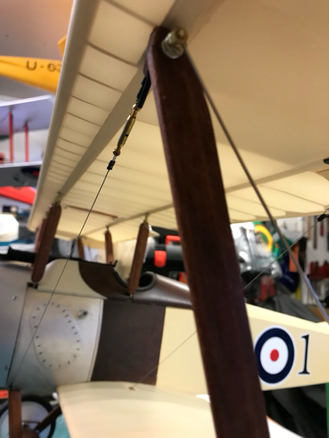 Image1705428096.662599.jpg