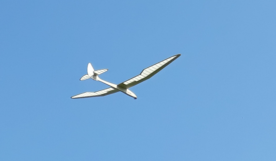 IMG-20190408-WA0008.jpg